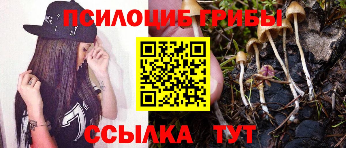 Псилоцибиновые грибы ЛСД Ярославль