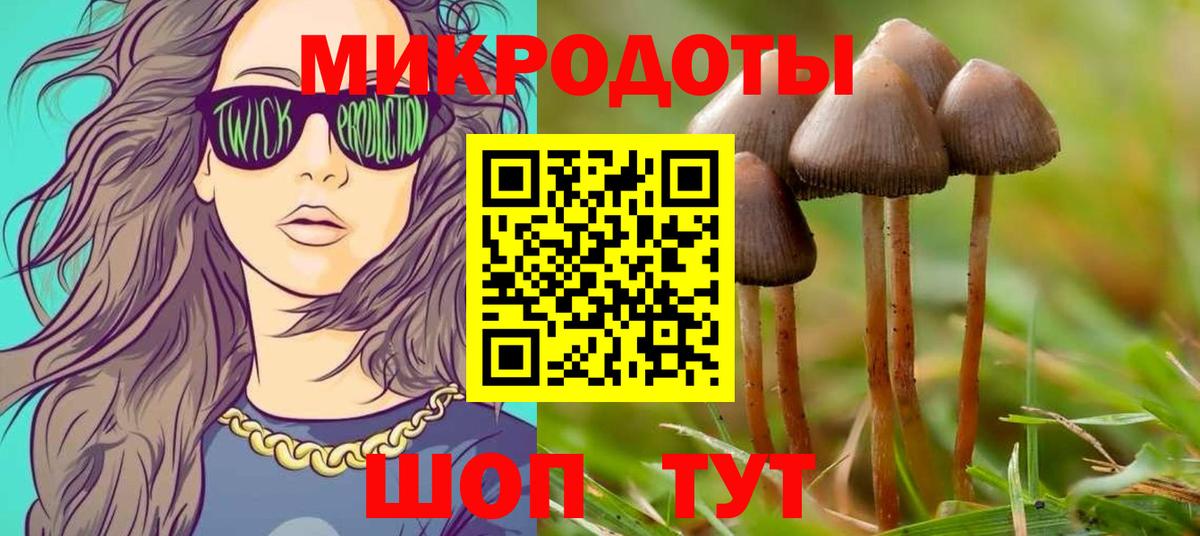 Псилоцибиновые грибы мухоморы  Псилоцибиновые грибы ЛСД  закладка  Ярославль  Вход с VPN 